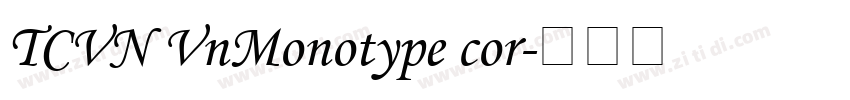 TCVN VnMonotype cor字体转换